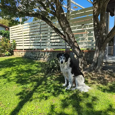 Casa Manu Bed & Breakfast