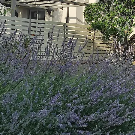 Casa Manu Loro Ciuffenna